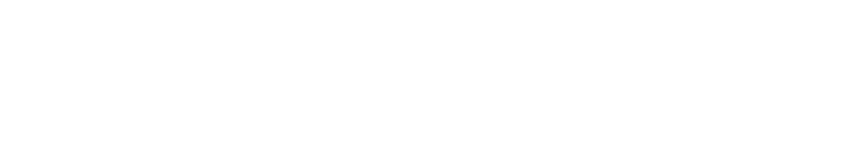 basesolo